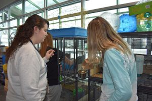 Mary-Elizabeth Foote works with a Schuylerville Ag Science student.