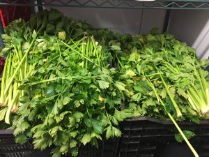 Old Saratoga Mercantile donated two bushels of organically grown celery.