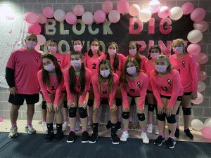 LHS Volleyball and DECA raise more than $2400 for Breast Cancer Awareness  Month