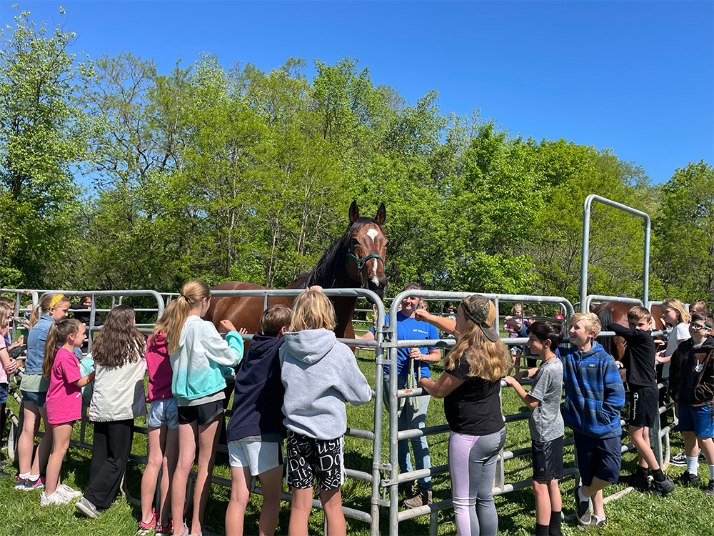 Students visit with Therapeutic Horses of Saratoga