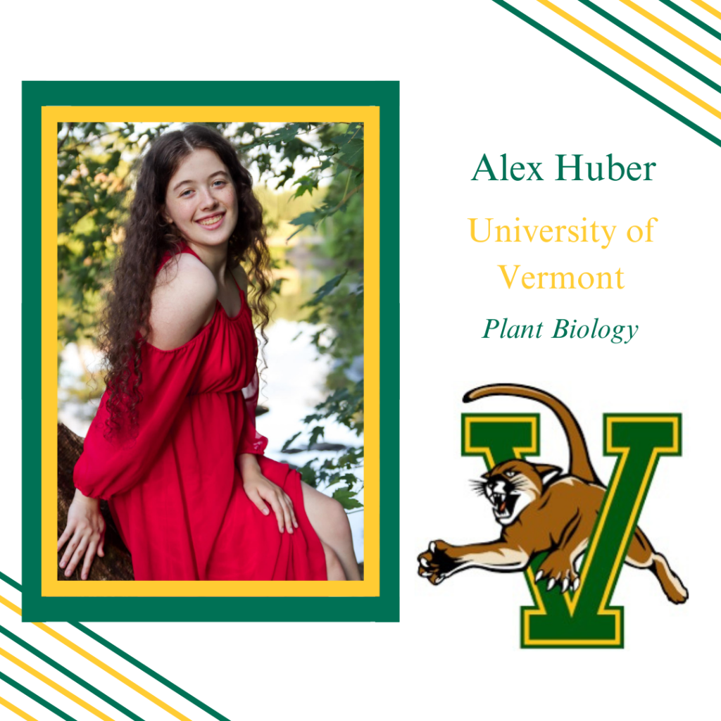 Alex Huber