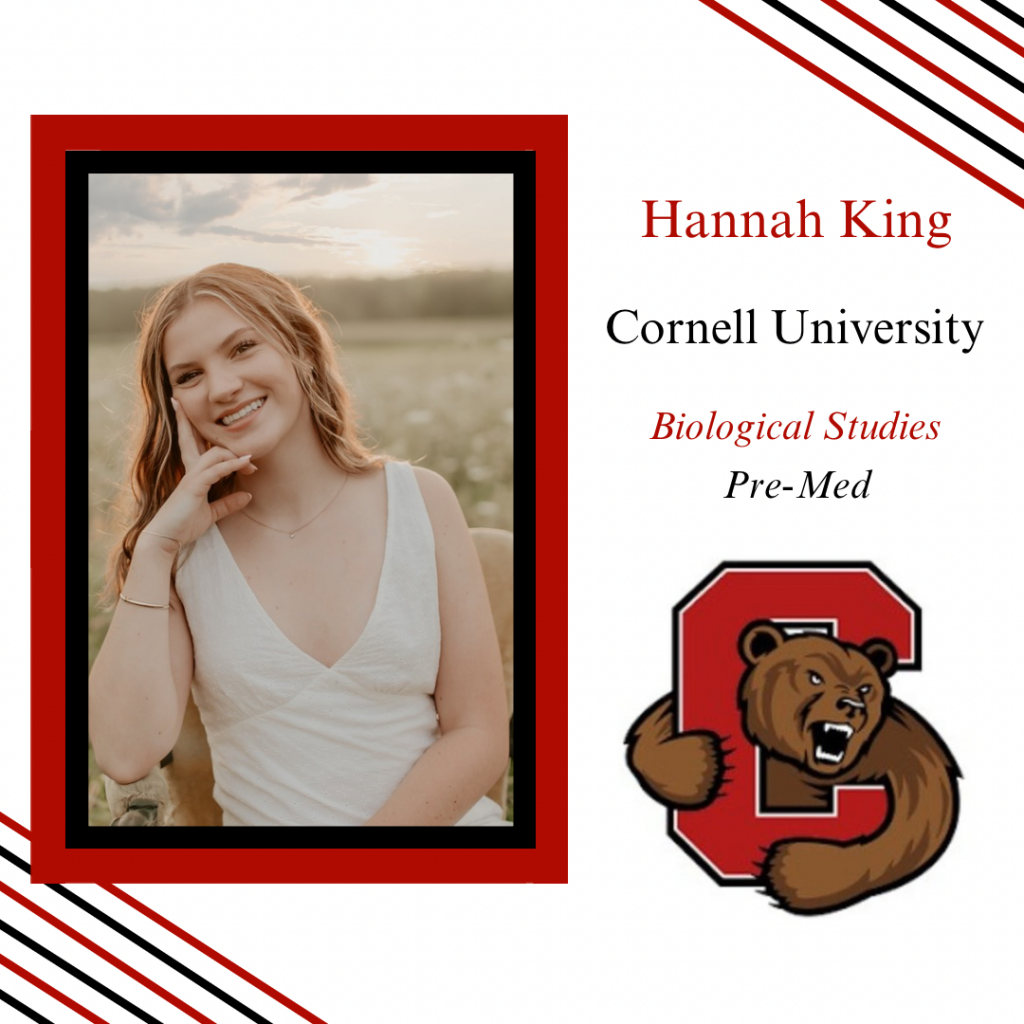 Hannah King