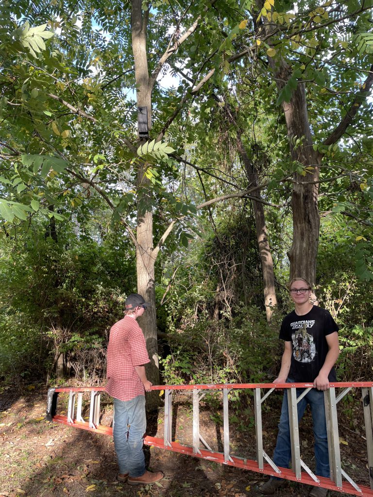 Ethan Passage installs a bat house on the Saratoga Siege Trail.